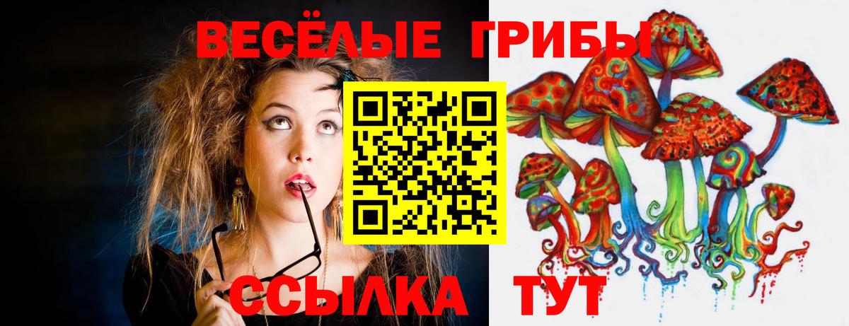 Галлюциногенные грибы прущие грибы  Вход с VPN  Куйбышев 